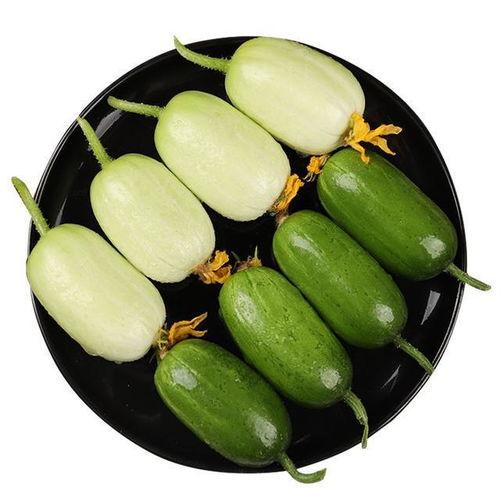 夜光瓜怎么吃最好吃视频,视频教你如何吃出最佳口感