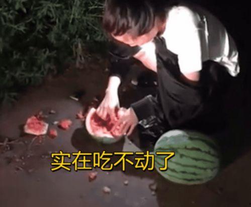 偷瓜吃的视频在线观看,一场欢乐的偷瓜视频大揭秘