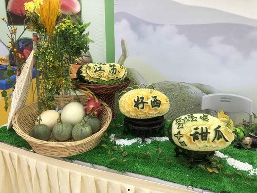 吃甜甜的瓜视频,揭秘“吃甜甜的瓜”视频背后的故事