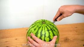 捷克皇家吃瓜视频,揭秘王室日常趣味瞬间