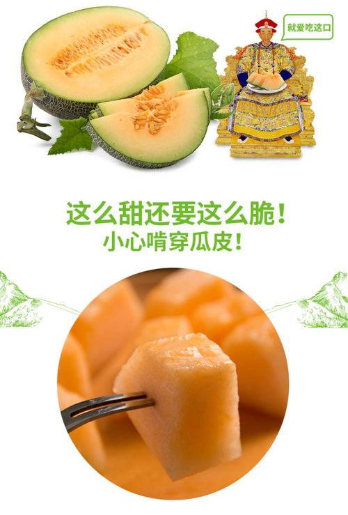 喵咪可以吃蜜瓜吗视频,猫咪能否享受甜蜜瓜果？