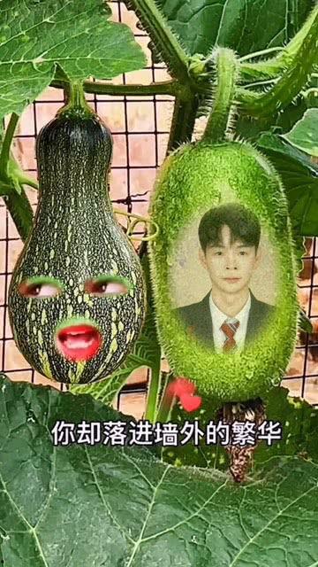 吃瓜仙女特效视频大全,趣味横生的视觉盛宴