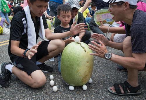 台湾民众吃瓜视频大全集,趣味横生的社会百态缩影