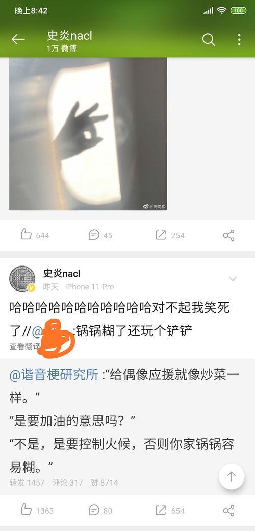 一个博主吃瓜搞笑视频,笑料百出，瓜田里的欢乐时光