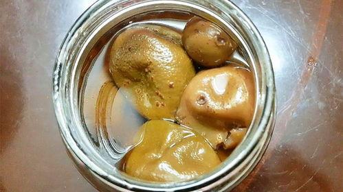 广东饶平吃瓜的视频,一场视觉与味蕾的盛宴