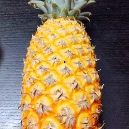 吊瓜太甜可以吃吗视频,揭秘其美味与食用指南