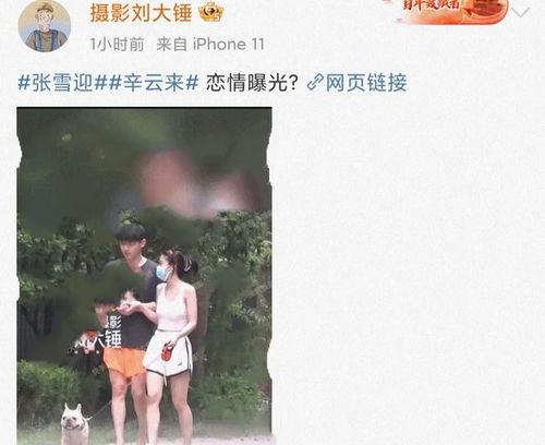 劲爆视频吃瓜,揭秘娱乐圈幕后真相