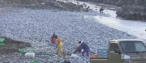 渔民现场吃瓜视频,美味瞬间引网友热议