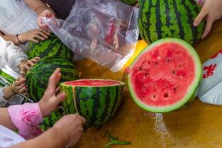 法国吃瓜视频,揭秘法国人日常生活中的趣味瞬间